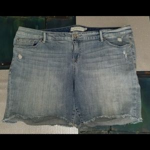 Distressed Torrid Shorts, Size 22